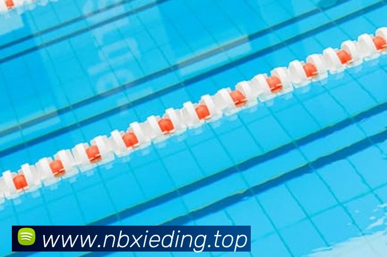 App Interface Preview