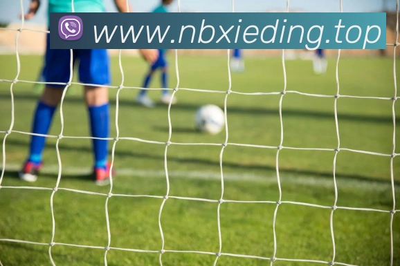 博亚娱乐app官方网站APP 封面图